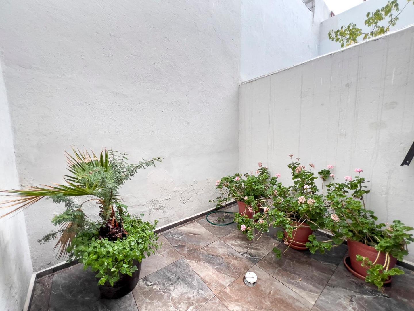 Casa Morelos Stayhouse San Luis Potosi Bagian luar foto
