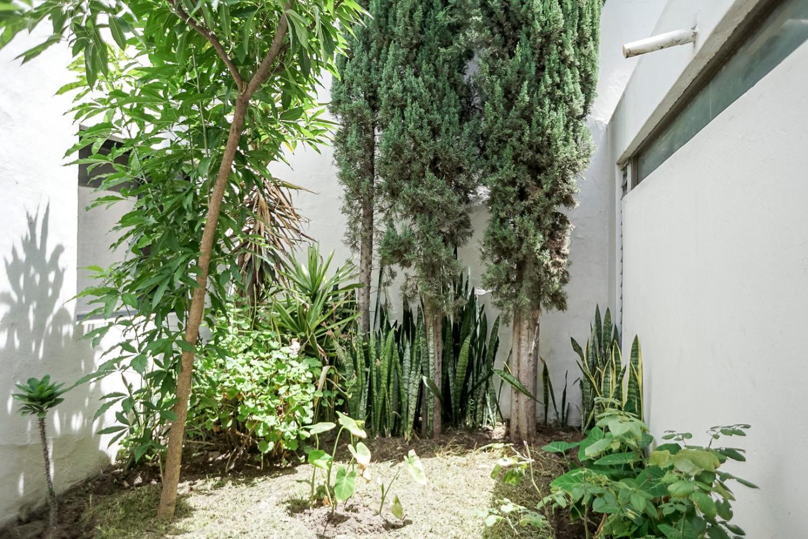 Casa Morelos Stayhouse San Luis Potosi Bagian luar foto